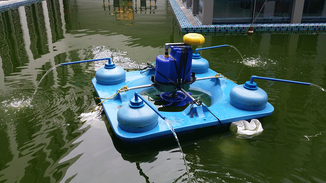 人工景观水体保质 | 深圳南山污水处理厂办公楼景观水池